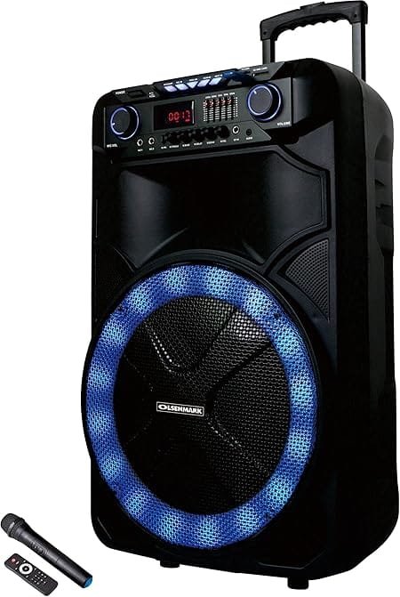 PartySpeaker/RecFun/Usb/Sd/Fm/Rmt/Mic1X1