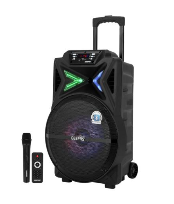 Rech Trolley Speaker/Usb/Sd/Fm/Bt/Mic1X1