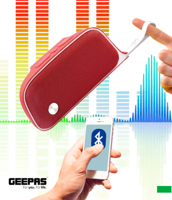 Rech BT Spkr/Usb/Tf/Fm/Aux/Blt InMic1x30