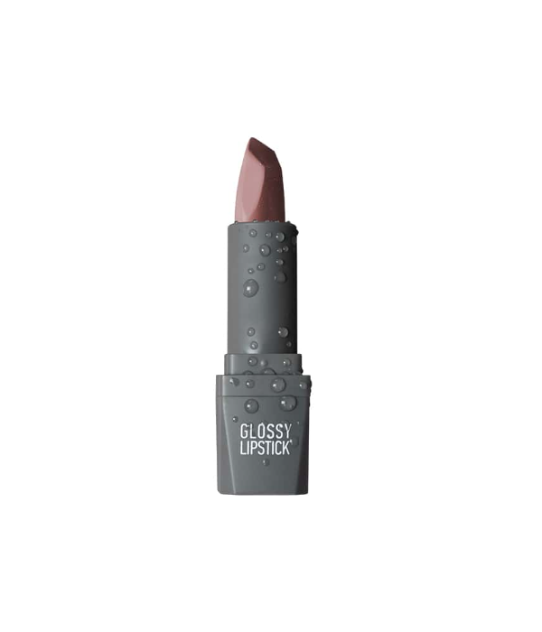 Alix Avien Glossy Lipstick - Shade - 306 Spicy Rose