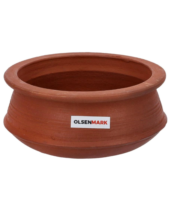 Traditnl Cokwr Fishcury Pot Dep21cm1x12