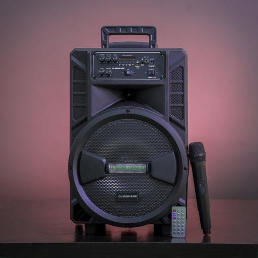 PartySpeaker/RecFun/Usb/Sd/Fm/Rmt/Mic1X1