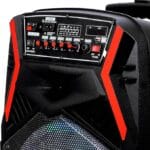 12"Troly Speakr Usb/Tf/Fm/Rmt/Aux/Mic1X1