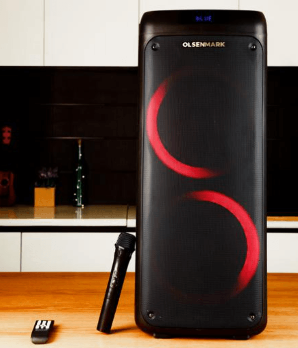 10"Rechargeble Party Speakr 22000w1x1