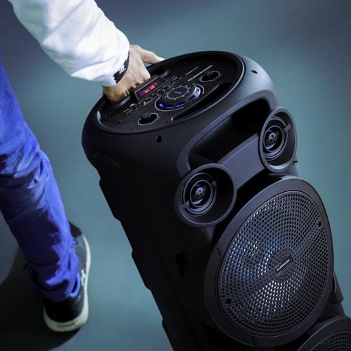 Rech 8"Party Speakr Usb/Bt/Fm/Sd/Mic/1x1