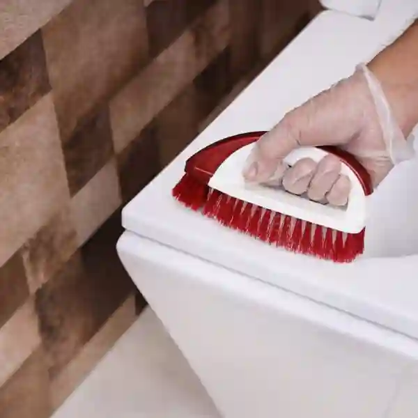 Royalford Cleaning Brush