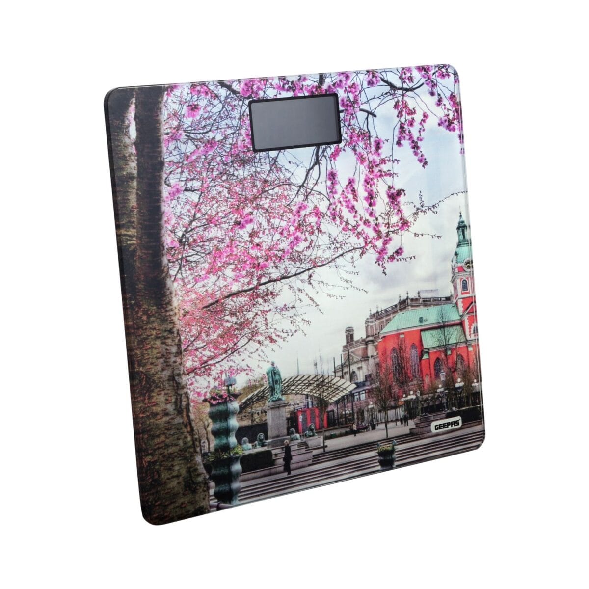 Bathroom Scale/Digital 1x6