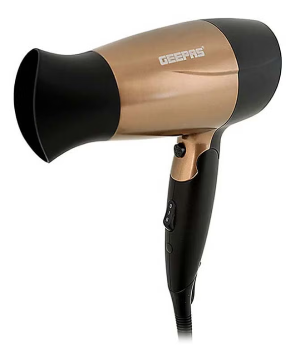 Mini Hair Dryer/2Spd/1600W1X24