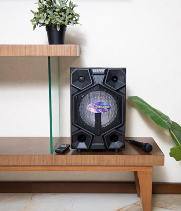 Prtble&Rech.prfSpkr/Usb/Sd/Bt/Rmt/Mic1X1