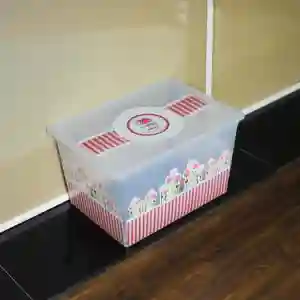 Storage box with Handle1X20(12.5Ltr)