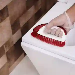 Royalford Cleaning Brush