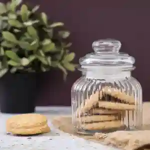 Royalford 650 ML Cookie Jar