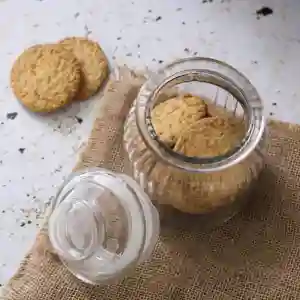 RoyalFord Air Tight Cookie jar